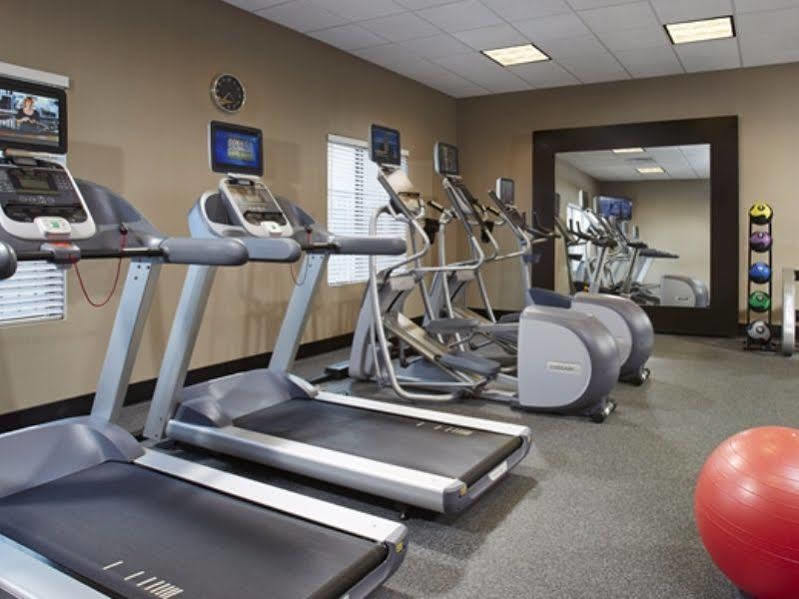 Hilton Garden Inn Springfield, Ma Экстерьер фото