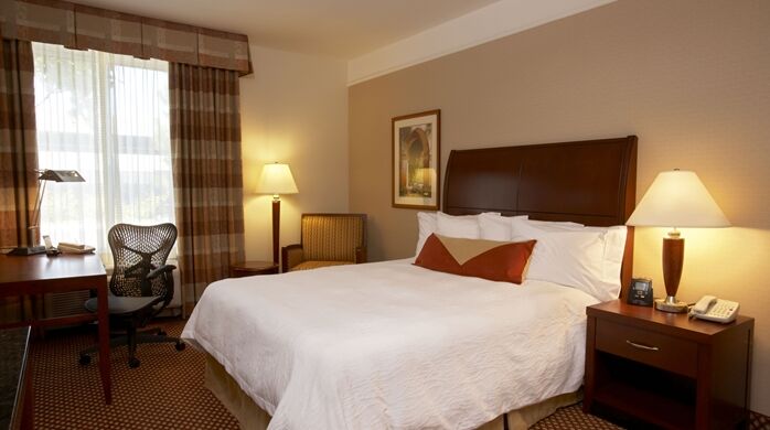 Hilton Garden Inn Springfield, Ma Экстерьер фото